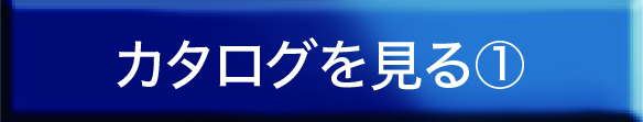 PDFで見る